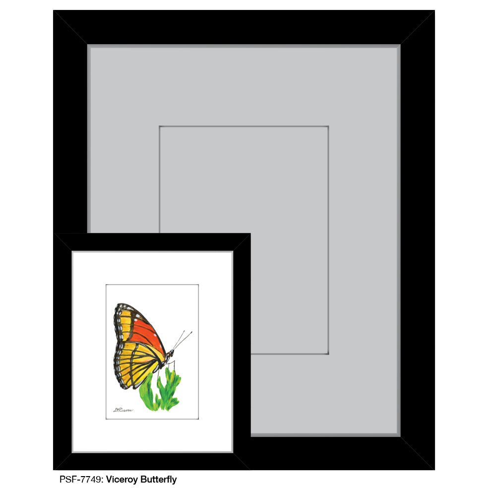 Viceroy Butterfly, Print (#7749B)