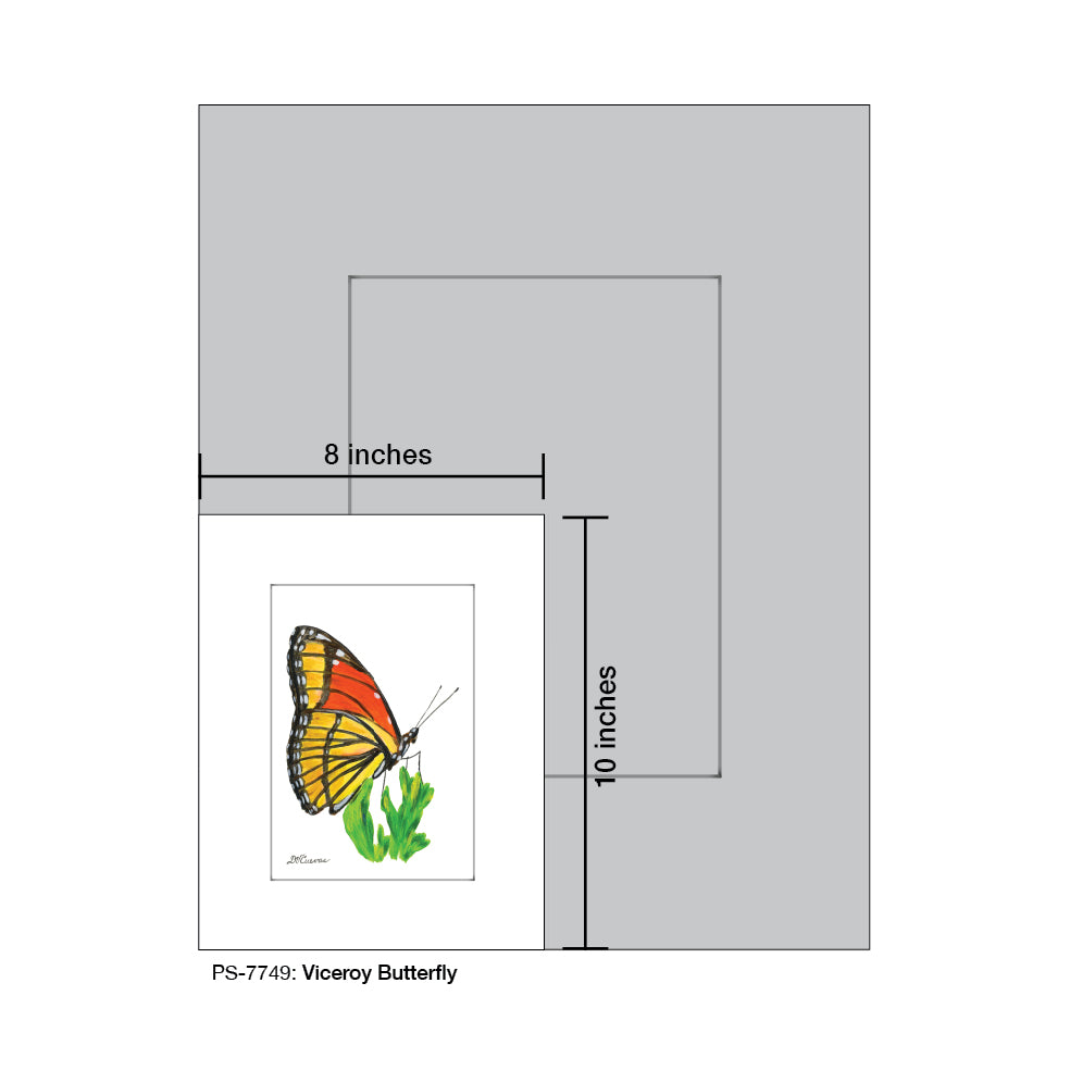 Viceroy Butterfly, Print (#7749B)