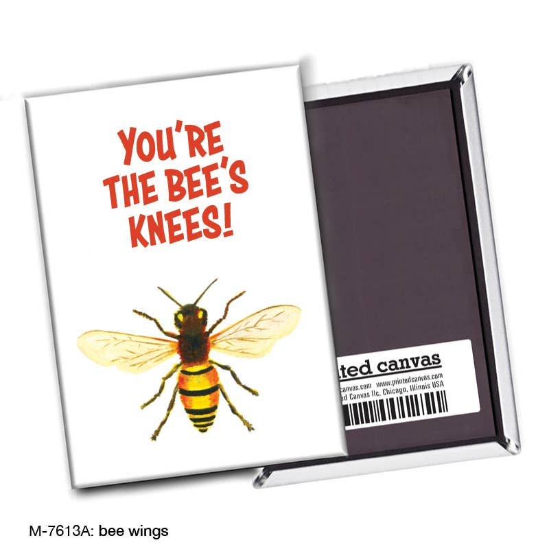Bee Wings, Magnet (M-7613A)