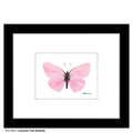 Lavender Pink Butterfly, Print (#8674F)