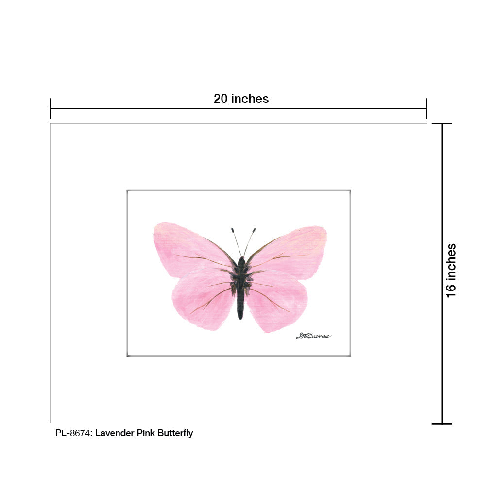 Lavender Pink Butterfly, Print (#8674F)