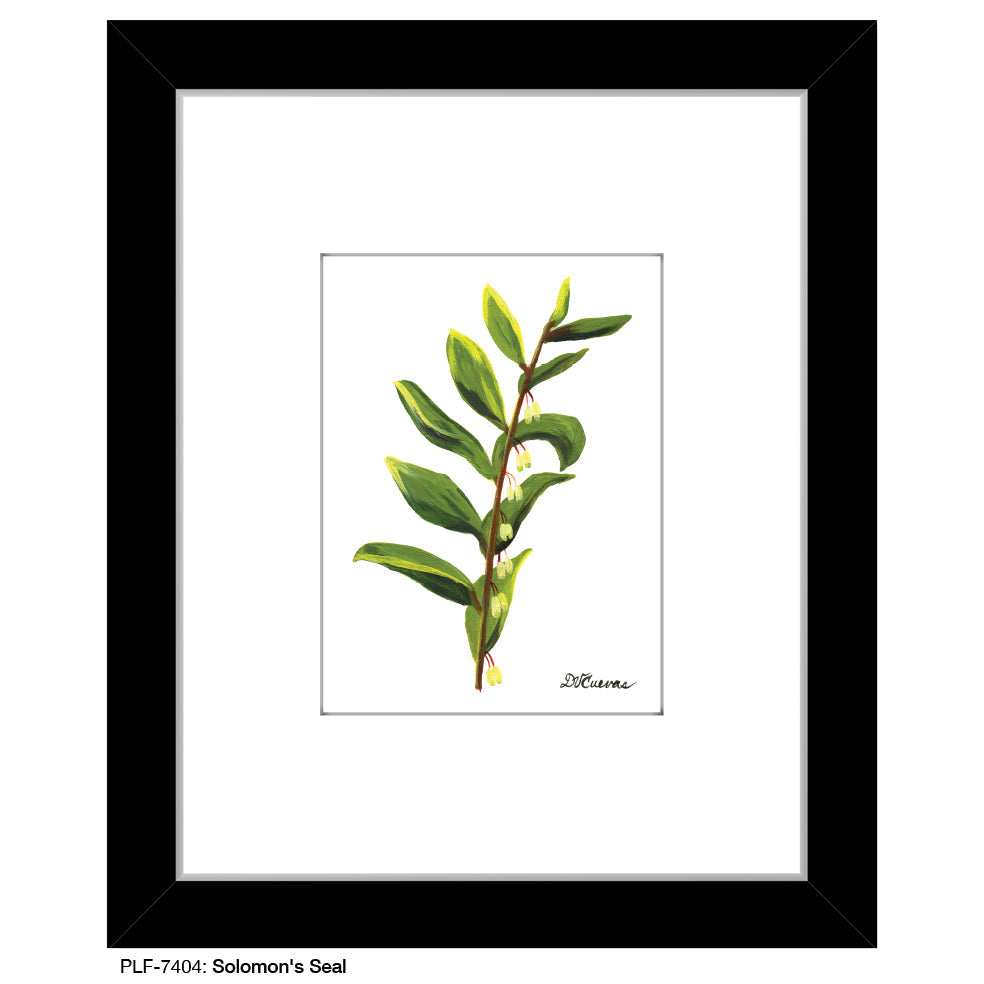 Solomon's Seal, Print (#7404A)