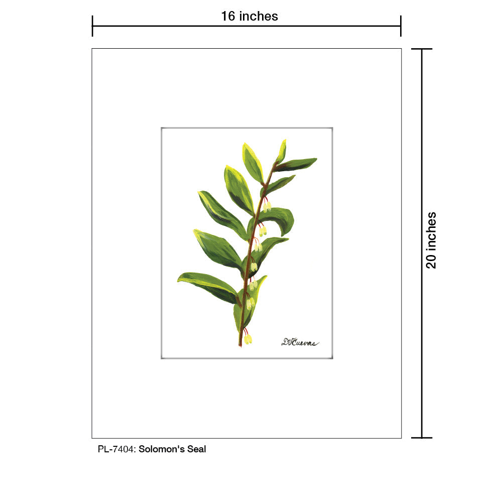 Solomon's Seal, Print (#7404A)