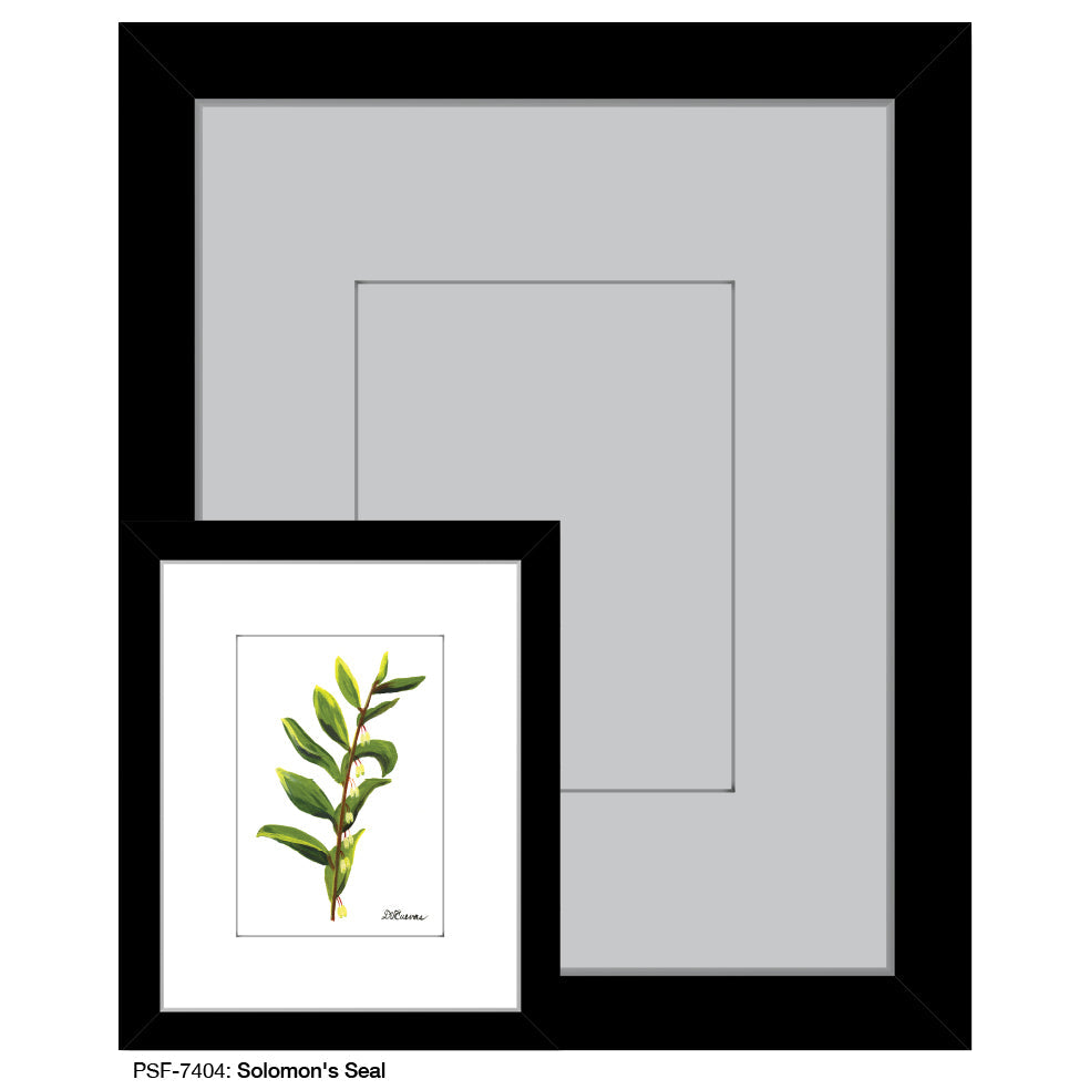 Solomon's Seal, Print (#7404A)