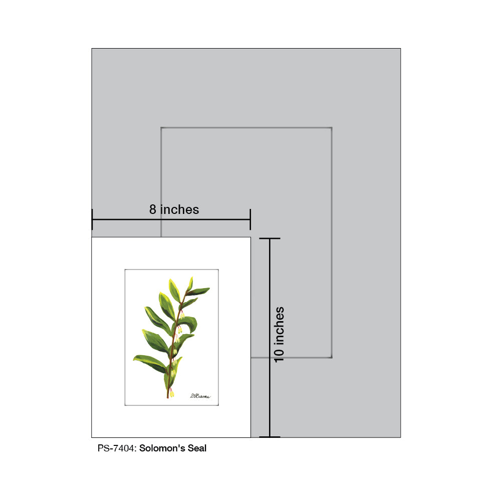 Solomon's Seal, Print (#7404A)