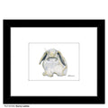 Bunny Lashes, Print (#8743A)