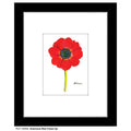 Anemone Red Close-Up, Print (#7269S)