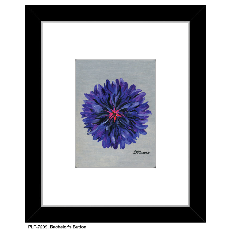 Bachelor's Button, Print (#7299A)