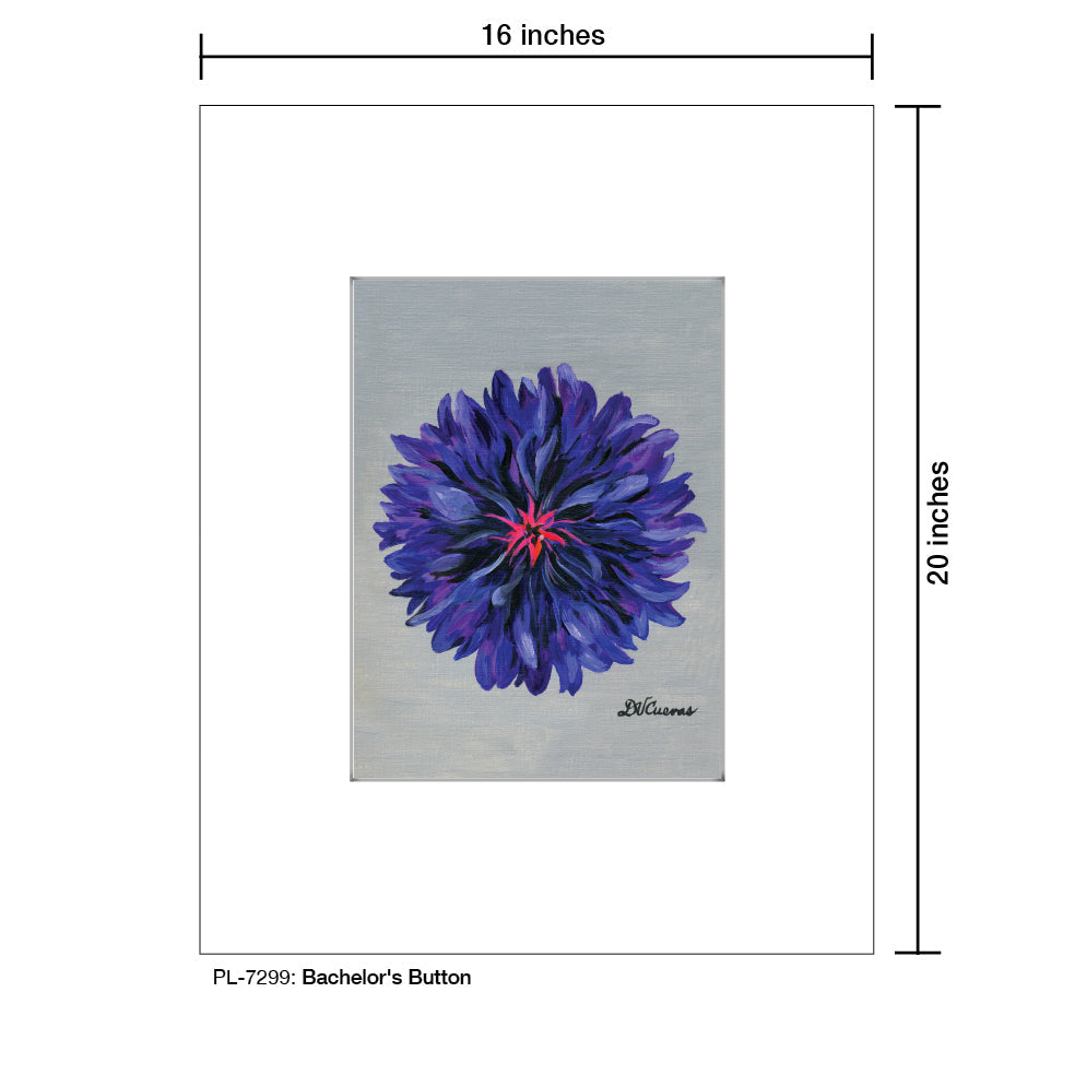Bachelor's Button, Print (#7299A)