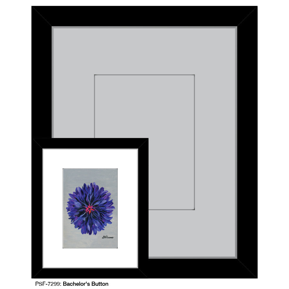 Bachelor's Button, Print (#7299A)
