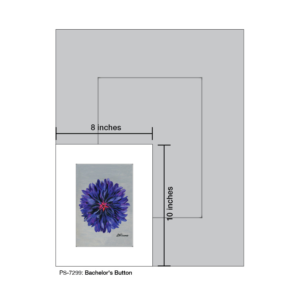 Bachelor's Button, Print (#7299A)