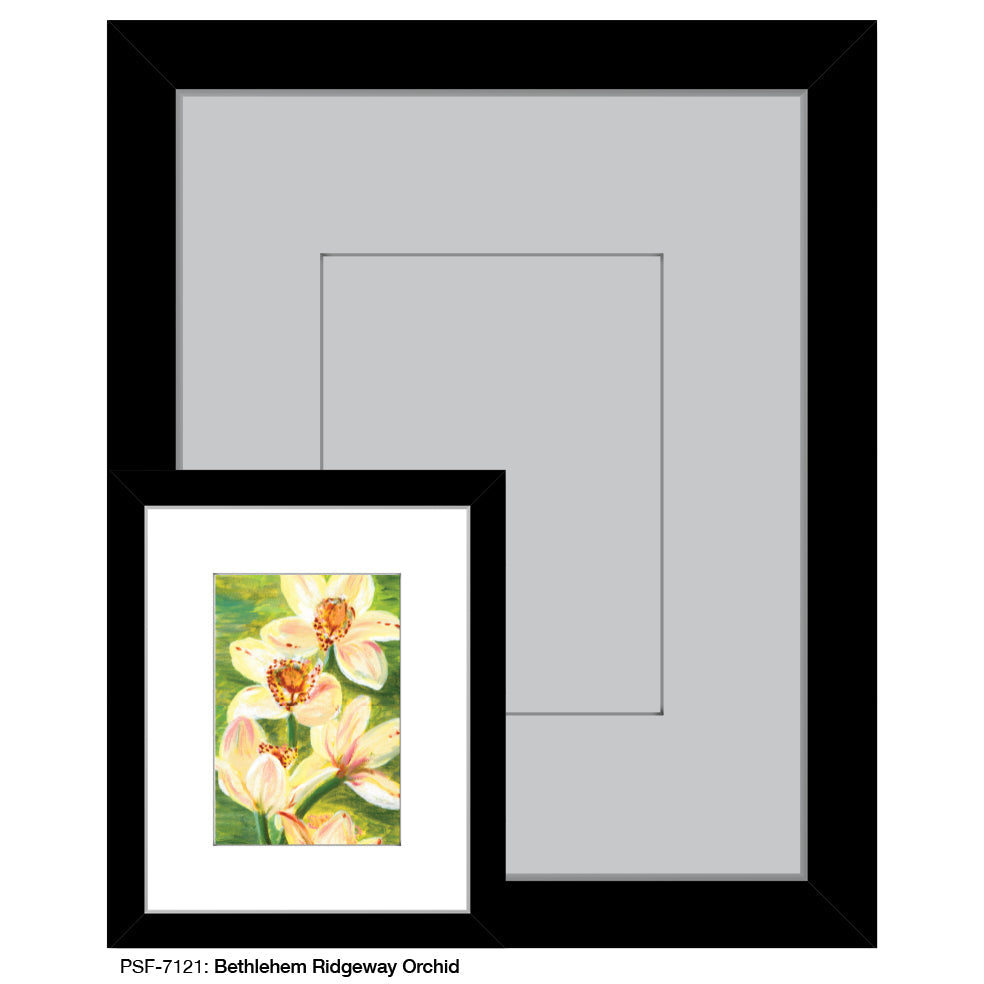 Bethlehem Ridgeway Orchid, Print (#7121C)