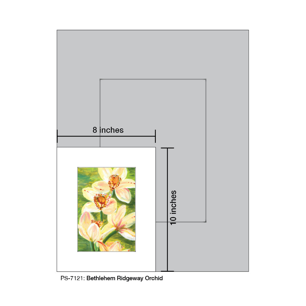 Bethlehem Ridgeway Orchid, Print (#7121C)