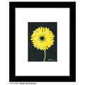 Gerber One-Of-A-Kind, Print (#7339C)