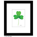 Irish Clover, Print (#8652B)