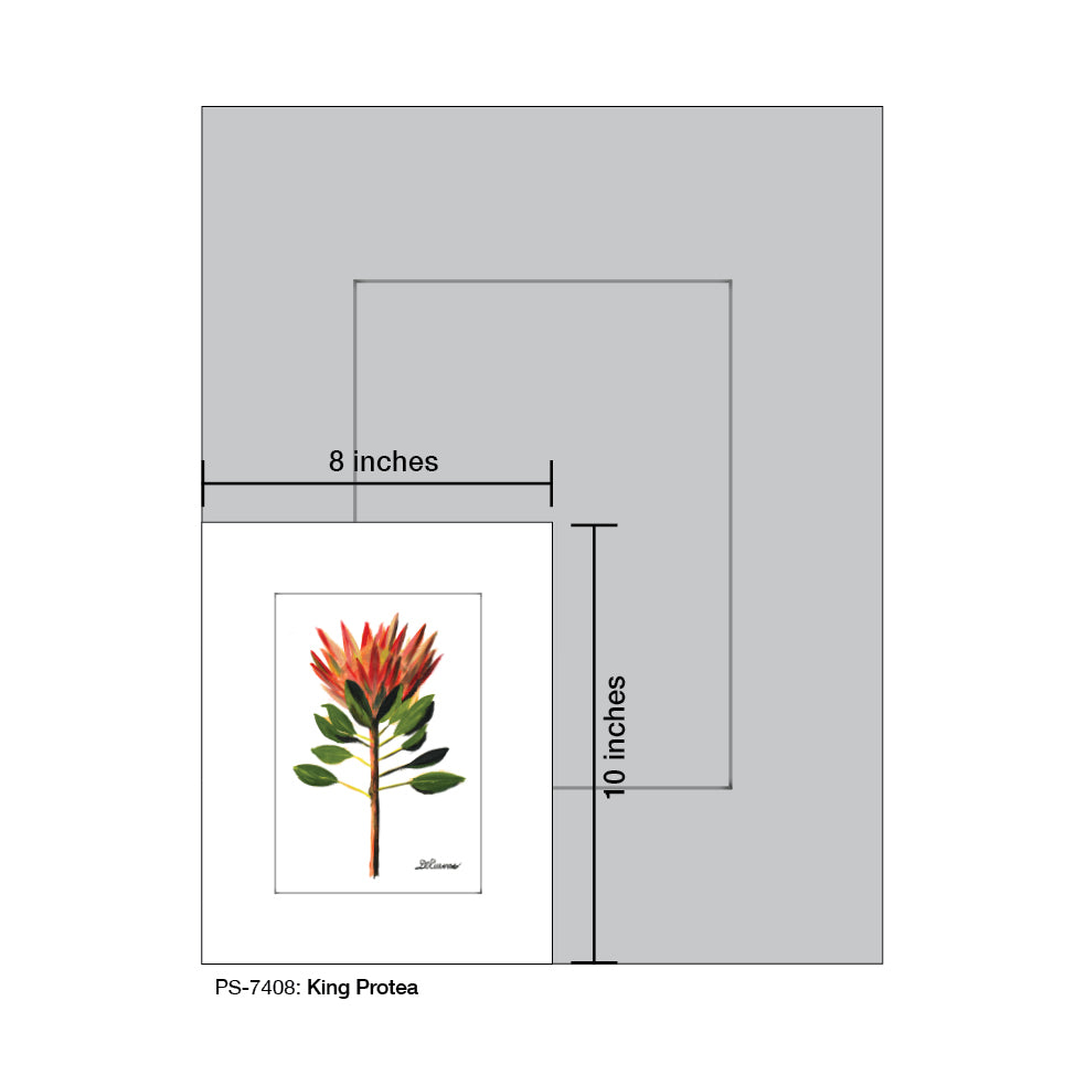 King Protea, Print (#7408A)