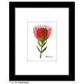 Scarlet Ribbon, Print (#7399A)