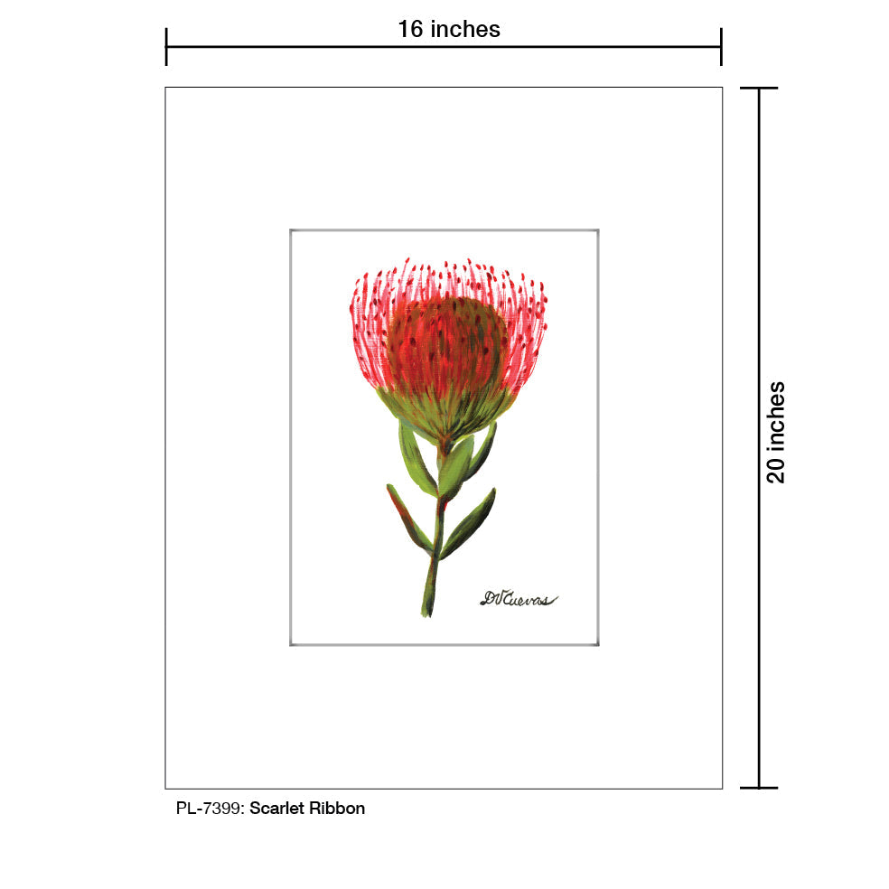 Scarlet Ribbon, Print (#7399A)
