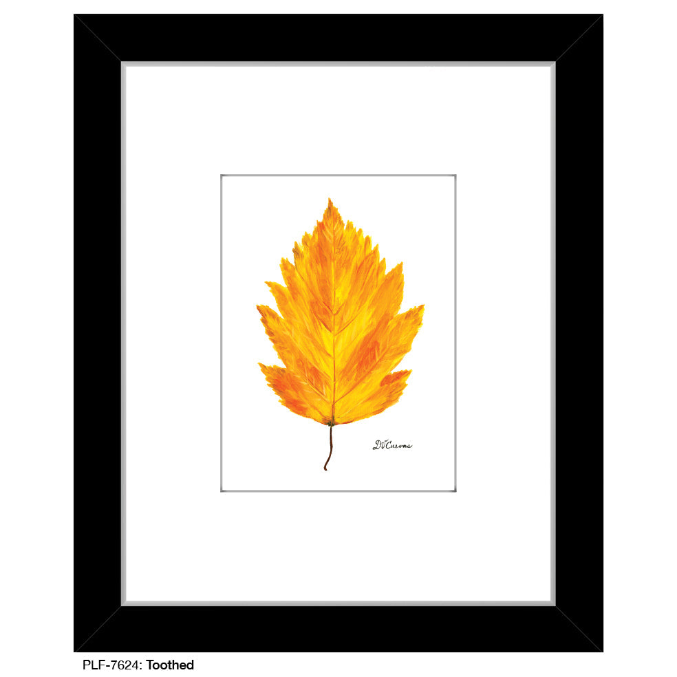 Toothed Leaf, Print (#7624A)