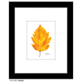 Toothed Leaf, Print (#7624A)