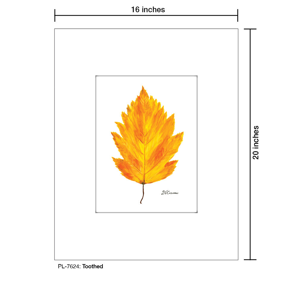 Toothed Leaf, Print (#7624A)
