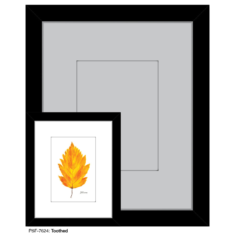 Toothed Leaf, Print (#7624A)