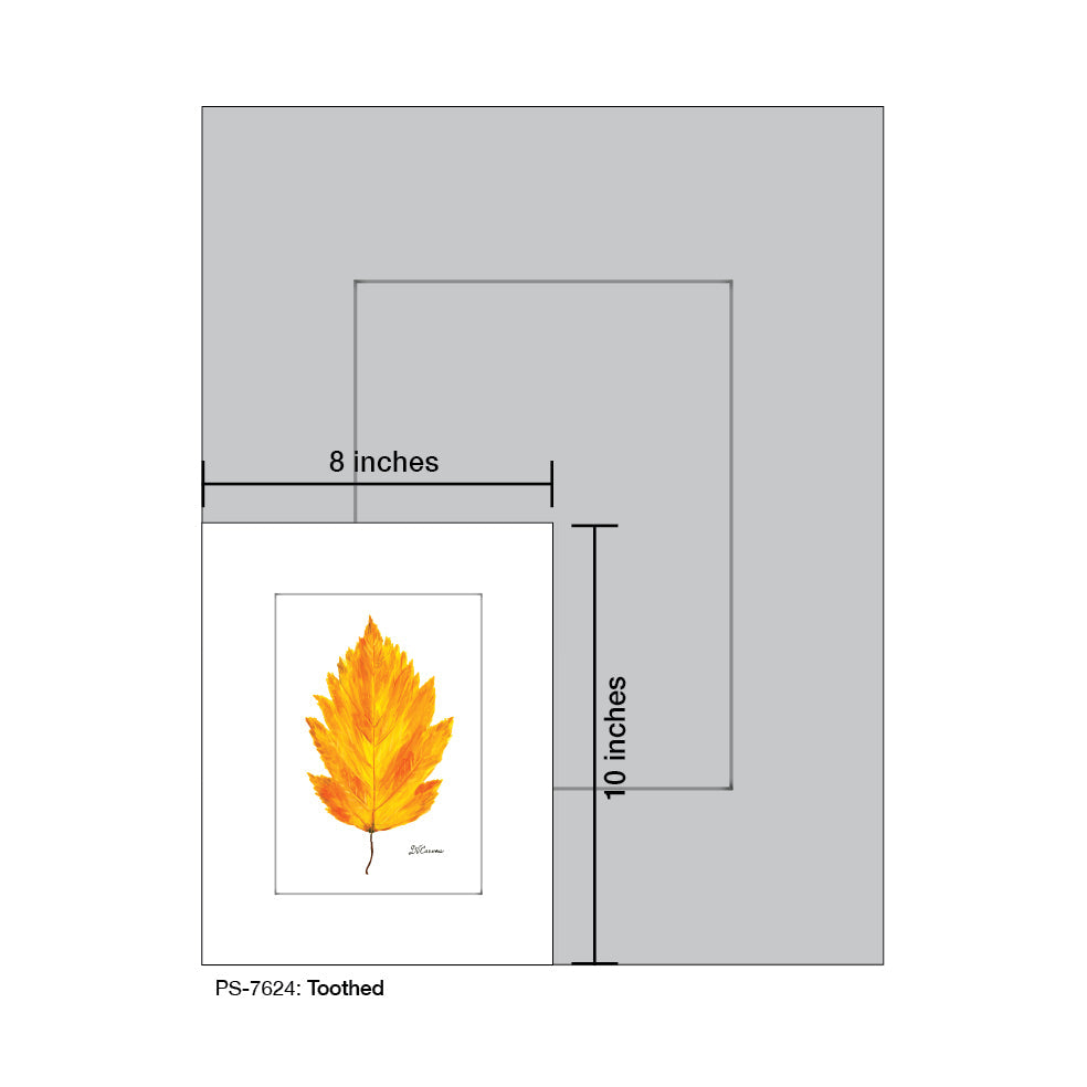 Toothed Leaf, Print (#7624A)