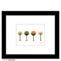 Seasons (08), Print (#7478B)