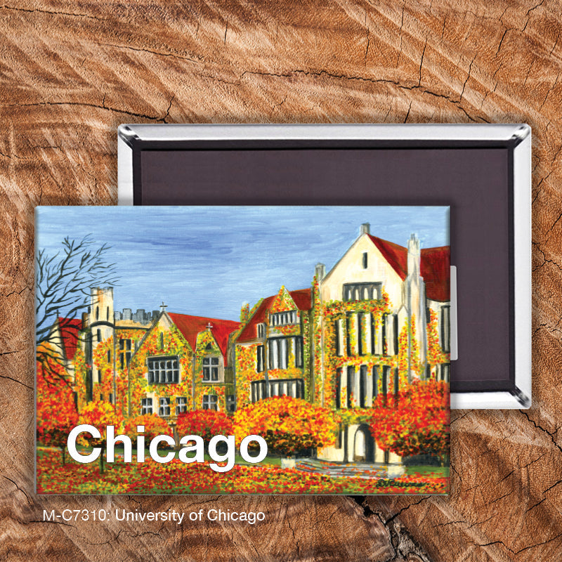 University of Chicago, Magnet (M-7310A)