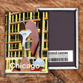 Picasso Sculpture, Chicago, Magnet (M-7520A)