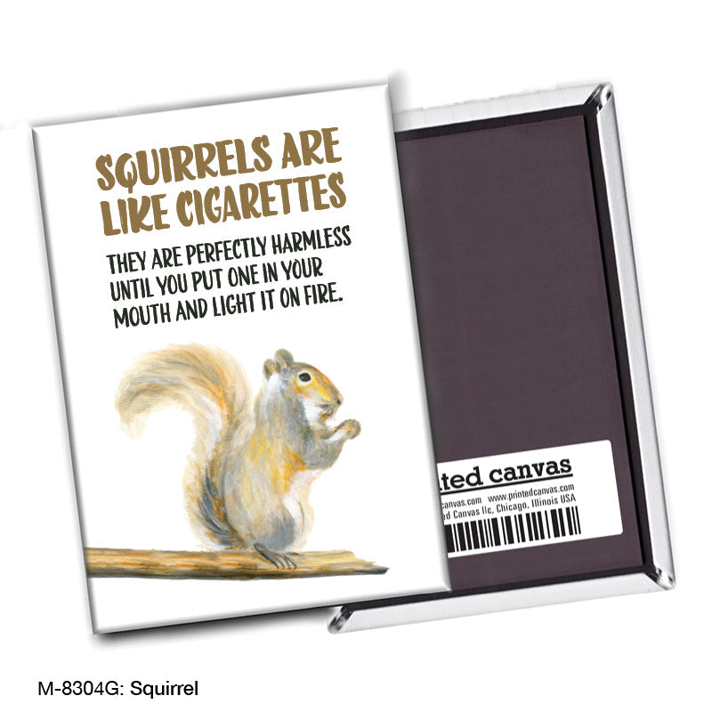 Squirrel, Magnet (M-8304G)
