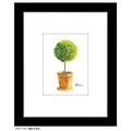Ball & Pot, Print (#7191A)