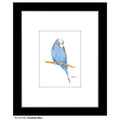 Parakeet Blue, Print (#8779A)