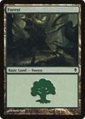 Forest (ZEN-247A) - Zendikar
