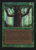 Ironroot Treefolk (CED-) - Collectors' Edition