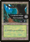 Forest (4BB-175) - Fourth Edition Foreign Black Border