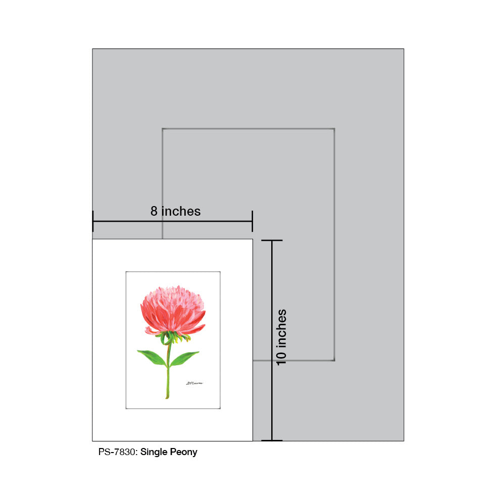 Single Peony, Print (#7830A)