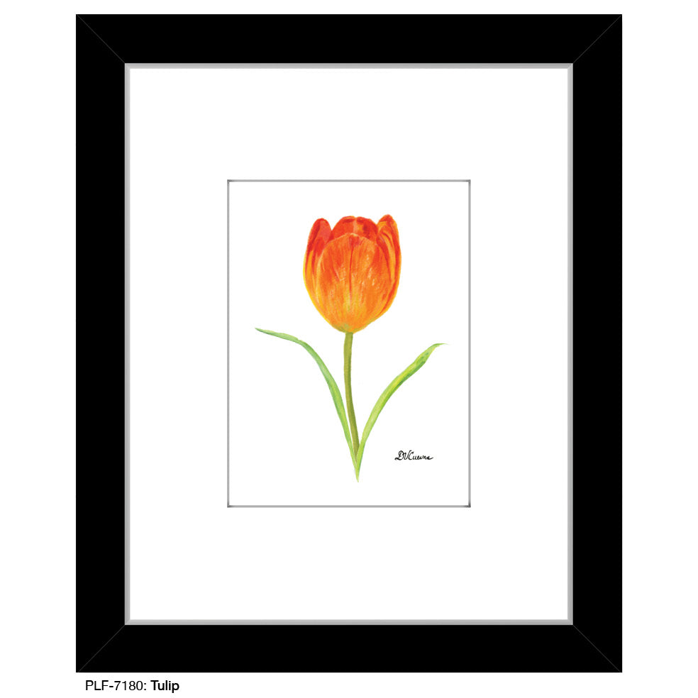 Tulip, Print (#7180A)