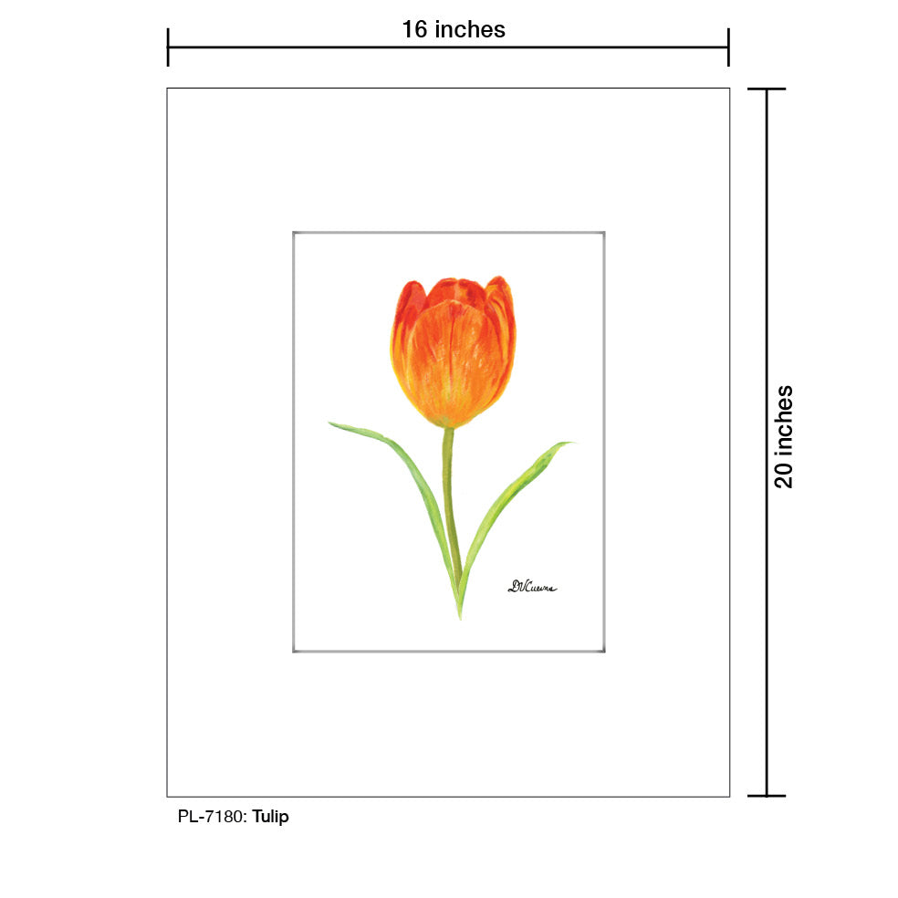 Tulip, Print (#7180A)