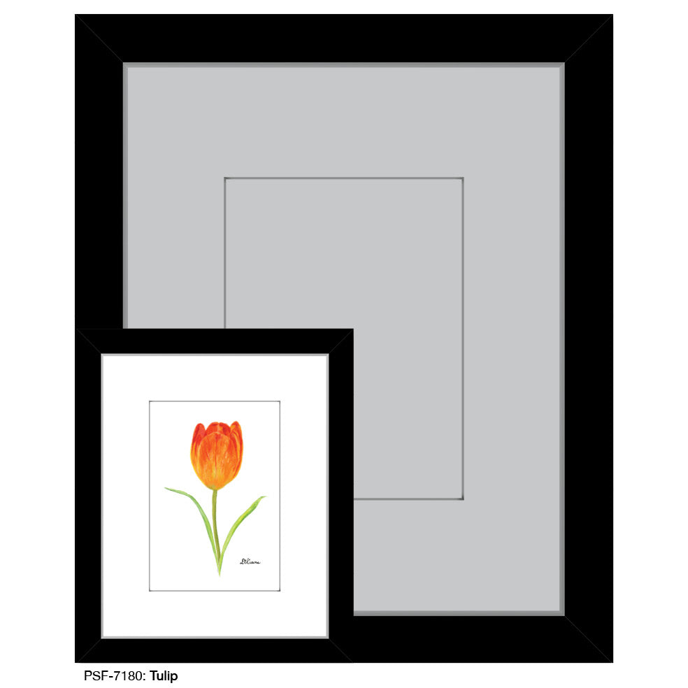 Tulip, Print (#7180A)
