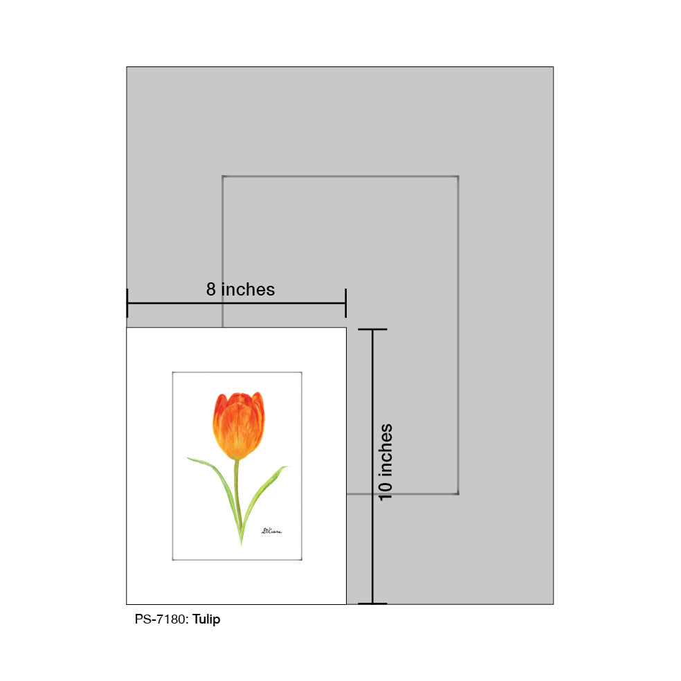 Tulip, Print (#7180A)