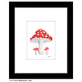 Mushrooms - Red, Print (#8785A)