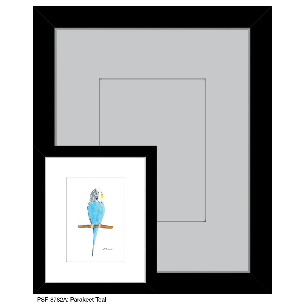Parakeet Teal, Print (#8782A)