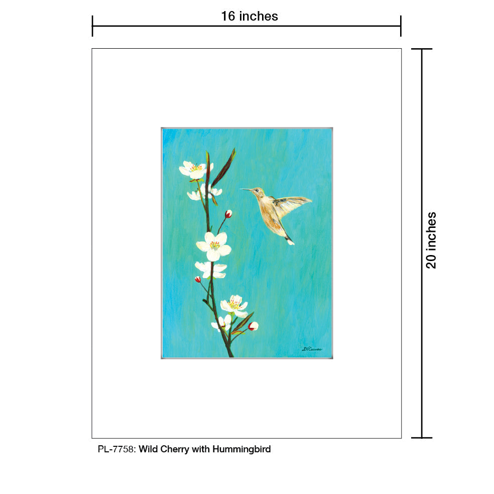 Wild Cherry with Hummingbird, Print (#7758A)