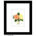 Peaches & Cream, Print (#7564D)