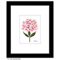 Summer Phlox, Print (#7402A)