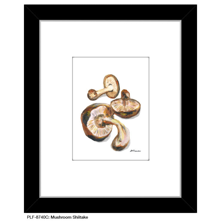 Mushroom Shiitake, Print (#8740C)