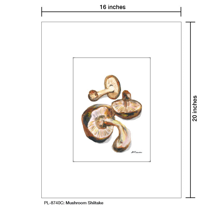 Mushroom Shiitake, Print (#8740C)