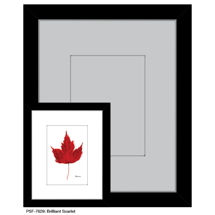 Brilliant Scarlet Leaf, Print (#7629A)