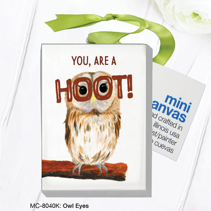 Owl Eyes, Mini Canvas (MC-8040K)